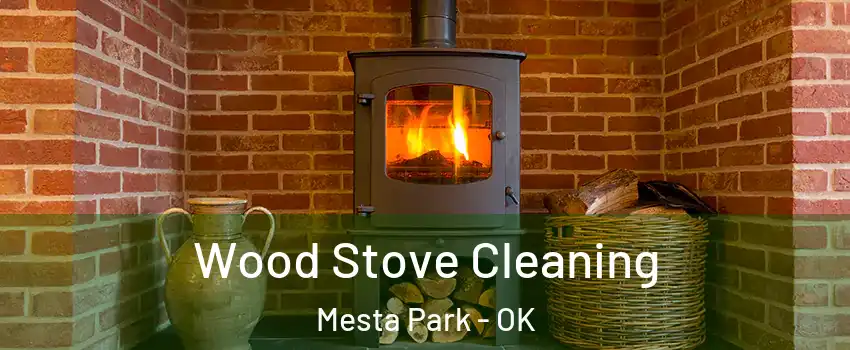 Wood Stove Cleaning Mesta Park - OK